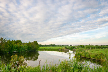 Cloud and landscape image of a dutch polder in the western part of Holland. Green meadows are intersected with ditches or canals, where the watersides are connected by small bridges.