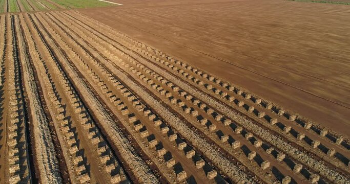 Stacked peat blocks drying in harvesting field aerial view