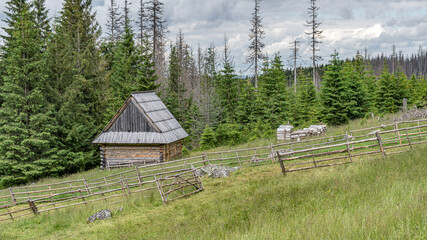 Tatry, Rusinowa Polana, szlak turystyczny