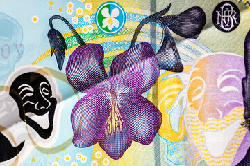 Selective focus on detail of lei banknotes. Close up macro detail of romanian lei banknotes, 100 lei isolated. World money concept, inflation and economy concept