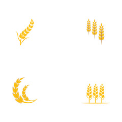 Set Wheat Logo Template vector