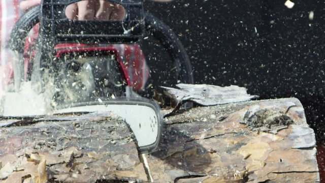 Close up of sawing a log with a chainsaw process. Video. Male carpenter sawing a part of tree trunk with wooden shavings flying into the sides.