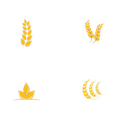 Set Wheat Logo Template vector