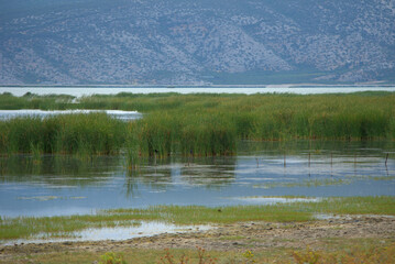 Fototapeta na wymiar Greece , Volos city , Lake Karla located at the north-eastern part of the plain of Thessaly in Greece,with very high biodiversity and a lively culture especially in the local fisheries. 