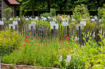 Rich collection of different medicinal, edible, poisonious plants and herbs in abbey botanical...