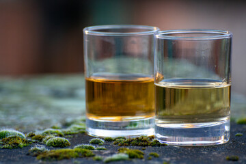 Scotch single malts or blended whisky spirits in glasses with old street in Edinburgh on background, Scotland