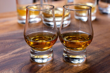 Scotch single malt or blended whisky tasting on distillery in Scotland, UK