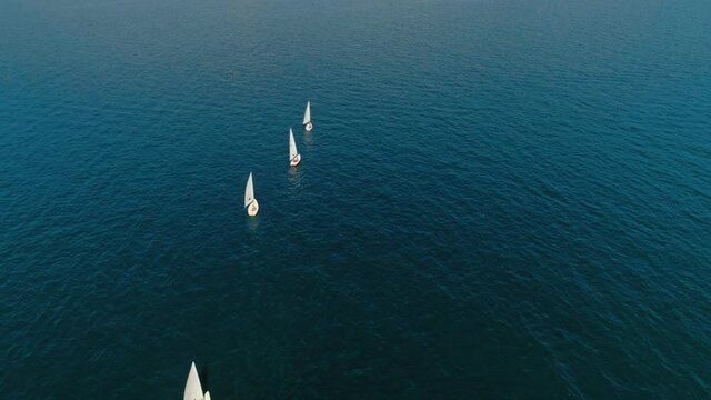 Sailing school for kids or adults with small sail boats or yachts drifting in blue ocean, sea or lake waters. Sail trip in summer on mediterranean sea. European vacation in open water on private yacht