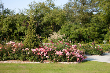 Botanischer Garten im Bürgerpark Theresienstein in Hof/Saale
