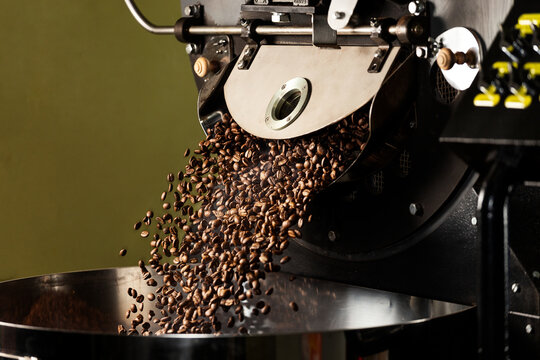 Fresh Roasted Natural Coffee Beans Cascading out of Industrial Coffee Bean Roaster Machine Inside the Coffee Shop