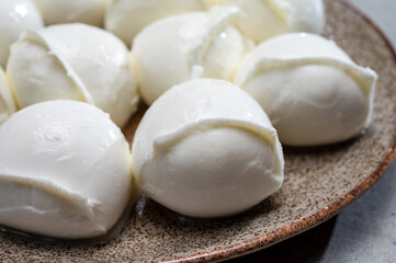 Tasty italian food, fresh white buffalo mozzarella soft cheese balls from Campania