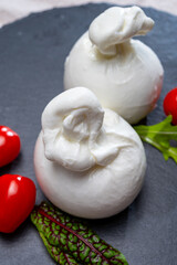 Cheese collection, fresh soft white burrata cheese ball made from mozzarella and cream from Apulia, Italy