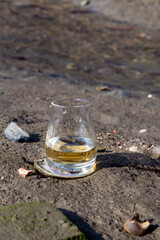 Tasting glass of Scotch whisky and sea shore during low tide, smoky whisky pairing with oysters