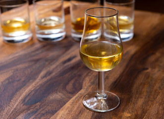Scotch single malt or blended whisky tasting on distillery in Scotland, UK