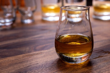 Scotch single malt or blended whisky tasting on distillery in Scotland, UK