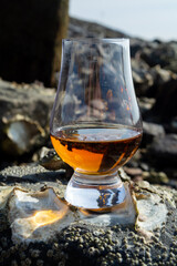 Tasting glass of Scotch whisky and sea shore during low tide, smoky whisky pairing with oysters