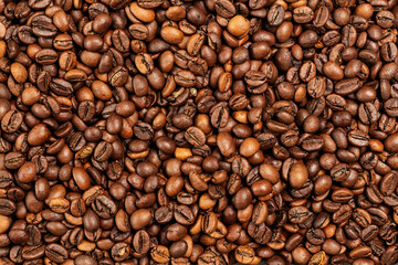 Obraz premium Tło ziaren kawy. Wzór brązowy palonych ziaren kawy