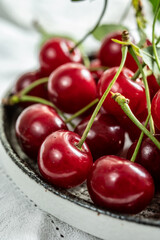 New harvest of red ripe juicy sour cherry or kriek berry