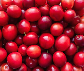 a lot of ripe shiny red cherry plum - food background