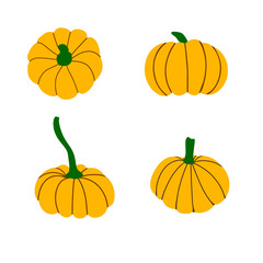 Collection of pumpkins isolated on a white background .Orange, yellow, red pumpkin for Halloween and thanksgiving day design. Organic autumn vegetables. Vector flat illustration
