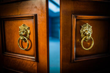 Old wooden door with golden lions