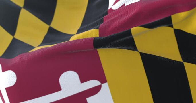 Flag of american state of Maryland, region of the United States, waving at wind. Loop
