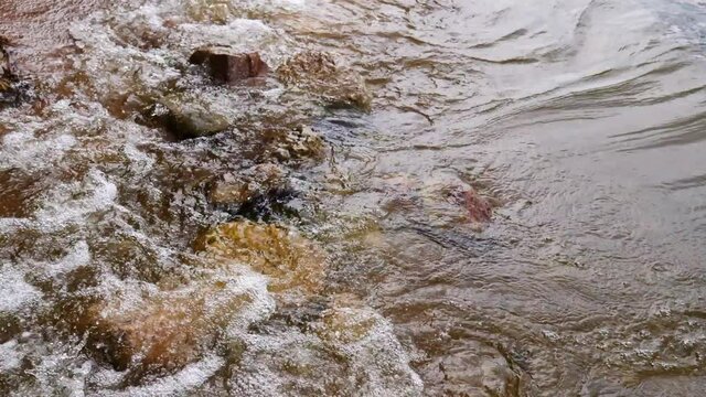 Cyclicality Bilder Durchsuchen 134 Archivfotos, und