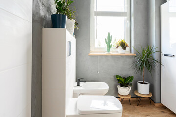 Modern bathroom with white furniture, green plants, window, toilet and bidet. Luxury and minimalism in scandinavian design.