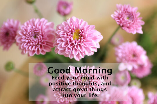 Morning Card And Greeting Concept With Inspirational Quote - Good Morning. Feed Your Mind With Positive Thoughts And Attract Great Things Into Your Life. On Background Of Pink Flowers Bouquet.