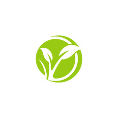 Leaf  ecology Logo Template vector