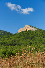 Vista de un bosque mediterráneo desde la base de la montaña