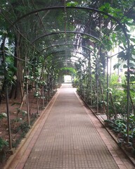 wooden bridge in the park