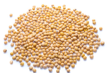 Soybeans  isolated on white background