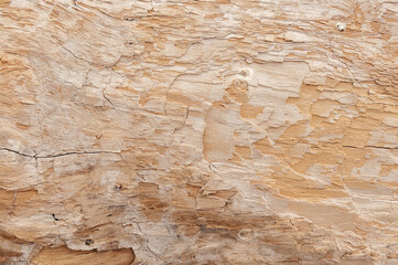 Wood texture. Wood background.