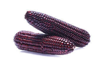 Black Corn on white background