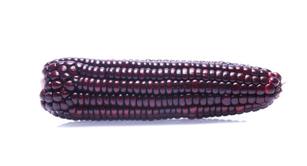 Black Corn on white background