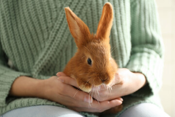 Naklejka premium Young woman with adorable rabbit indoors, closeup. Lovely pet