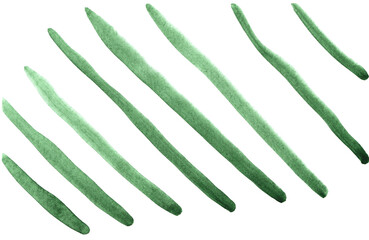 watercolor brush strokes texture line border hand drawing artistic paint art bright design template natural ecology green summer decor elements
