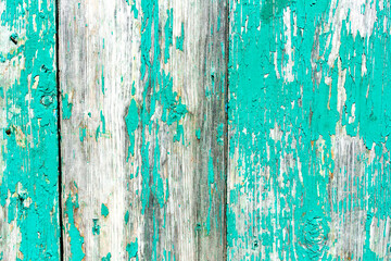 Fototapeta na wymiar Old rustic painted cracky green, turquoise wooden texture or background
