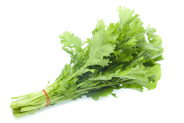 Chinese cabbage on white background