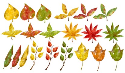 いろいろな種類の落ち葉　水彩風イラスト