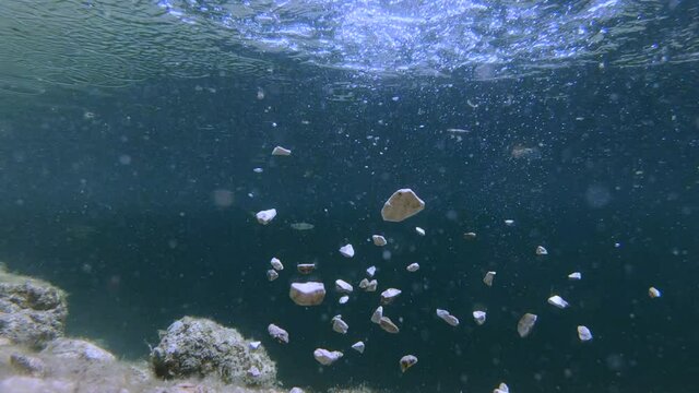 Slow motion underwater view of lake marine life with pebbles falling from water surface. Particles floating. Common Chub fish swimming. Water reflected on lake bed surface. Static, low angle
