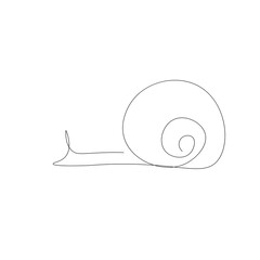 Snail animal on white background line drawing, vector illustration