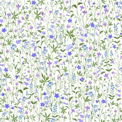 meadow flowers on white background