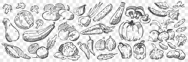 Fototapeta premium Hand drawn vegetables doodle set