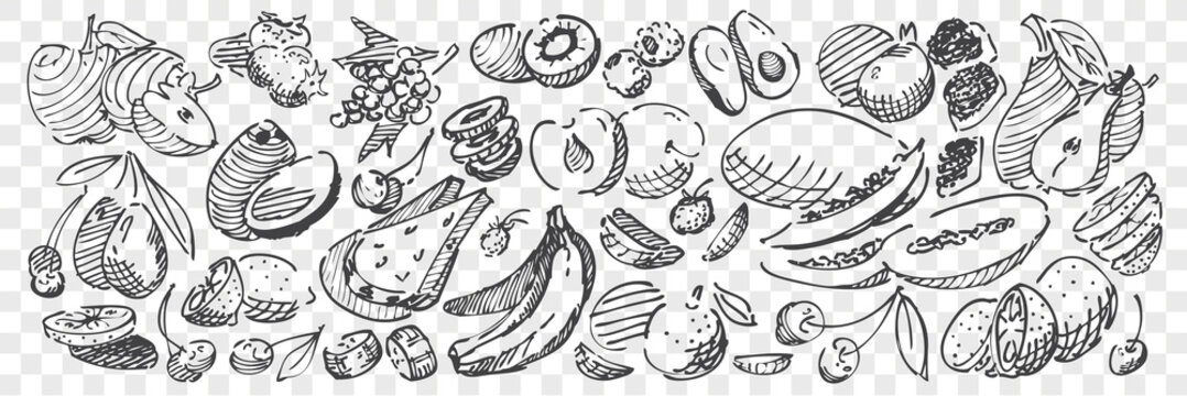 Hand drawn fruits doodle set