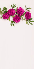 Beautiful burgundy pink peonies stand in a round vase on the table. Light background selective focus. Vertical frame