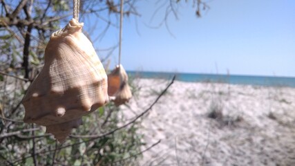 on the beach