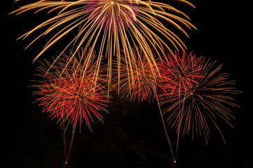 Colorful fireworks