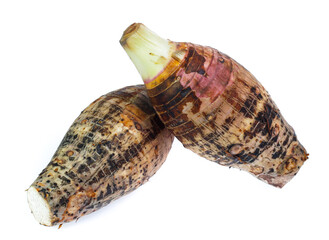 taro isolated on white background